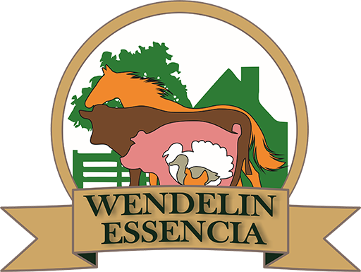 Wendelin essencia